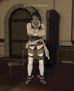 Seasoned Adventurer