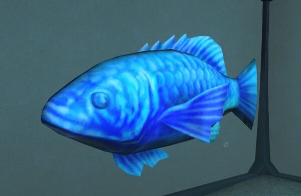 Spectral Bass - Final Fantasy XIV Online Wiki - FFXIV / FF14 Online ...