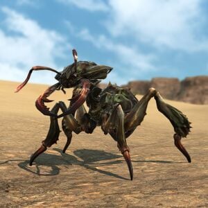 Antling Glamoured