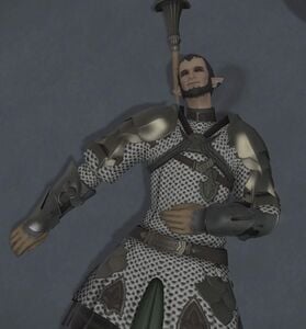 Wounded Knight