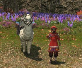 Alpacakeep (Many Fires) - Final Fantasy XIV Online Wiki - FFXIV / FF14 ...