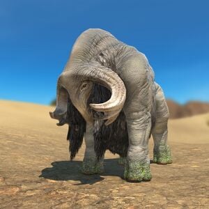 Buffalo Glamoured