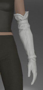 Cauldronmaster's Gloves front.png