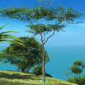 Thumbnail for version as of 00:58, 8 May 2026