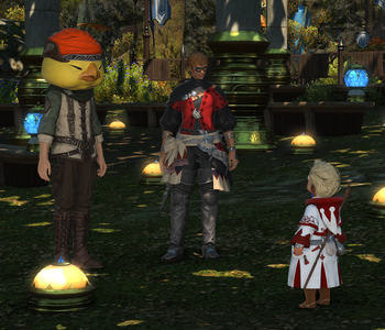 The Mellow Musician and Wandering Minstrel talk to the Warrior of Light.