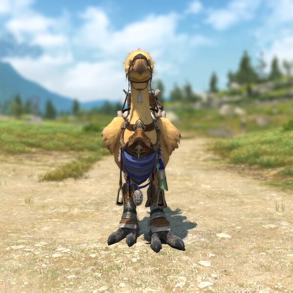 Wayfarer's Barding - Final Fantasy XIV Online Wiki - FFXIV / FF14 ...