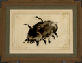 Thumbnail for version as of 04:02, 3 June 2026