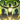 All the more region to leve ii icon1.png