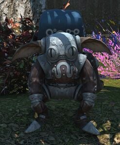 Languid Angler