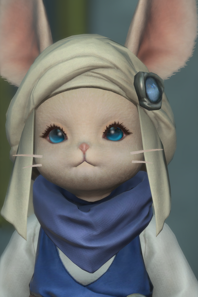 File:Lethargic Loporrit 1.png