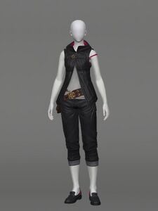 Adventurer's Hooded Attire