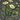 Chamomile icon1.png