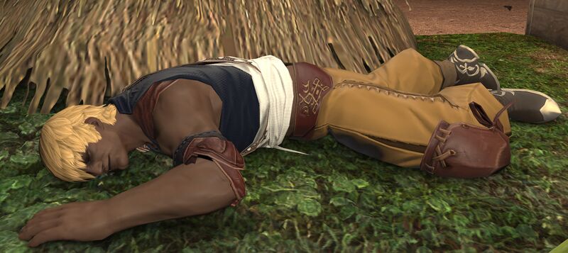 File:Exhausted Hyur fullbody.jpg