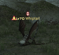 Whiptail.png