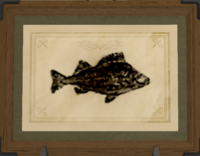 Crystal Perch print.png