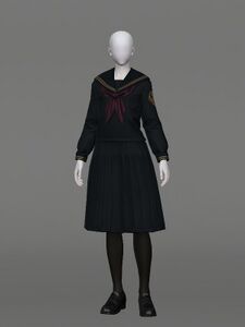 Educand's Attire (Skirt)