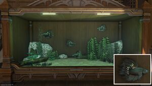 Four Dark Crowns in a Tier 4 Aquarium with a close-up.