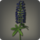 Black lupins icon1.png