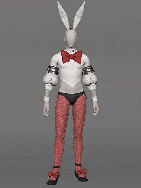 File:Bunny Attire Male.jpeg