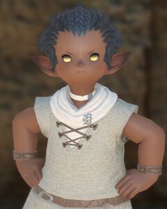 Didilata