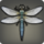 Dragonfly icon1.png