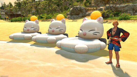 With Inflatable Mografts during Earning Your Water Wings