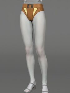 Hard Leather Subligar