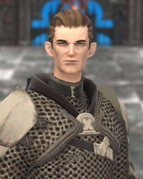 File:Ishgardian Knight.jpg