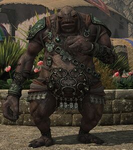 Yok Huy Supply Runner