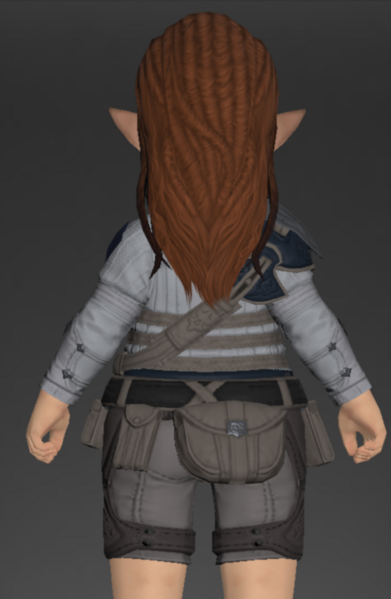 File:Royal Volunteer's Gambeson of Fending 5.png