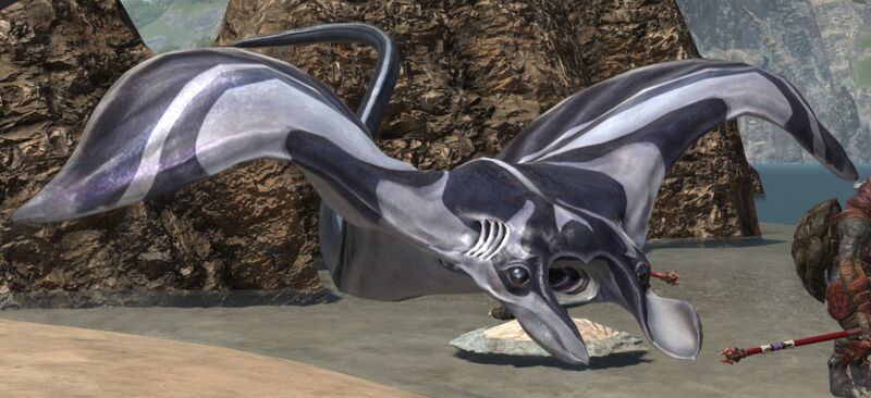 File:Amahire's Ray.jpg