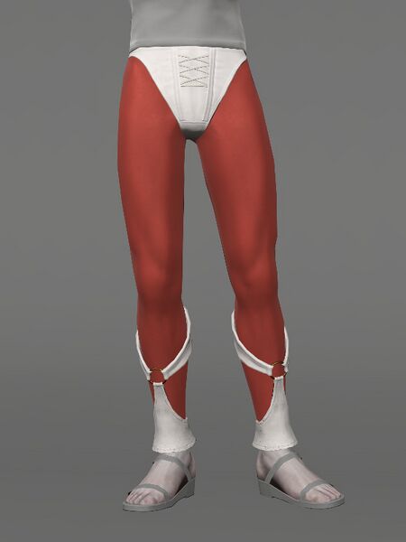 File:Battlefield Rose's Tights Male.jpeg