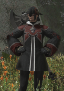 3rd Cohort Laquearius