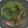 Bryophyte icon1.png