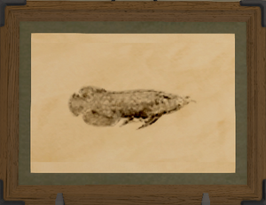 Dragonfish - Final Fantasy XIV Online Wiki - FFXIV / FF14 Online ...