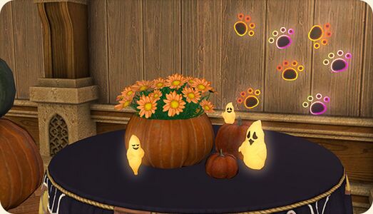 Haunted Pumpkin Set.jpg