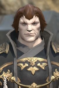 Stocky Soldier