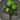 Green dahlias icon1.png