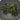 Oldrose wall planter icon1.png