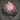 Quality Igneous Rock