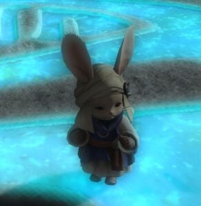 Beleaguered Loporrit