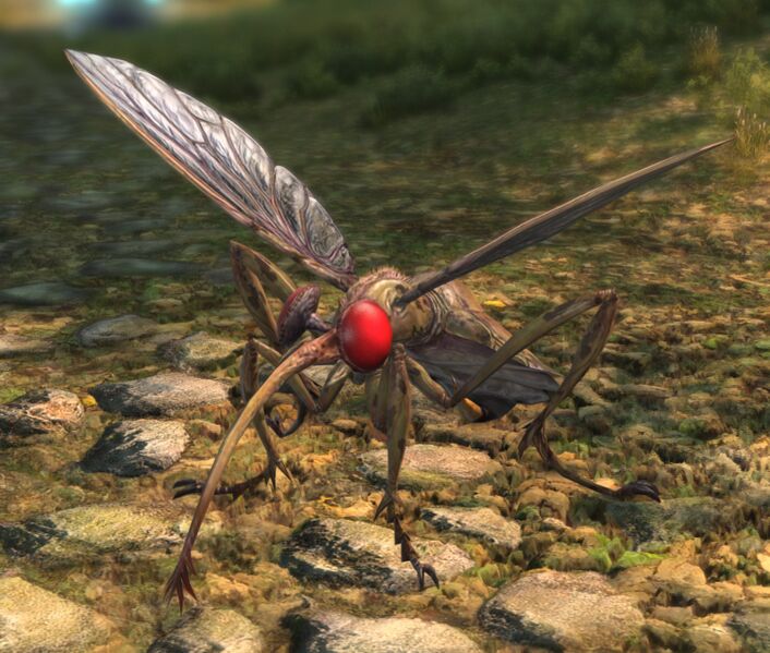 File:Carrion Chigoe.jpg