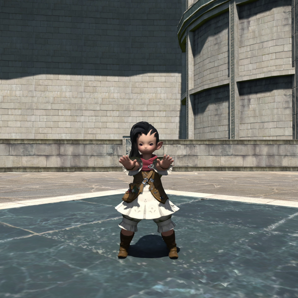 File:Deny Emote Lalafell.png