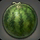 Island Watermelon