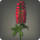 Red lupins icon1.png