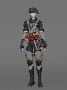 Royal Volunteer's Attire of Healing