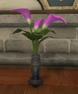 Purple Arums.png