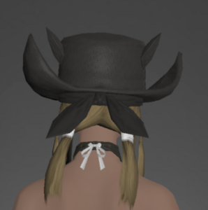 Hat of the Lost Thief rear.png
