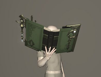 Luncheon Toadskin Grimoire