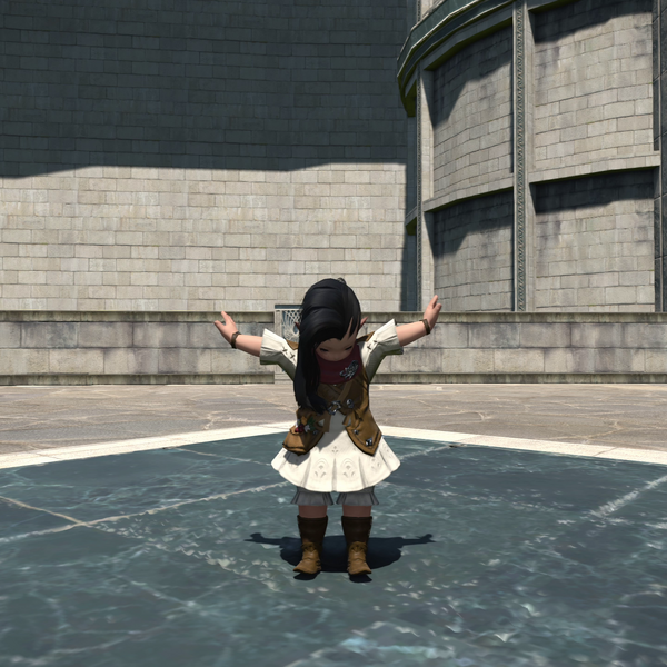 File:Examine Self Emote.png